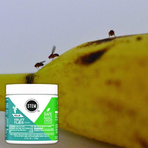 SC Johnson - STEM Fruit Flies Trap, 5.4 oz Jar, 8/Carton