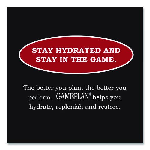 Niagara - Gameplan Sports Drink, Fruit Punch, 20 oz Bottle, 24/Carton