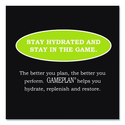 Niagara - Gameplan Sports Drink, Lemon Lime, 20 oz Bottle, 24/Carton