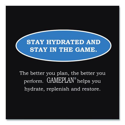 Niagara - Gameplan Sports Drink, Mixed Berry, 20 oz Bottle, 24/Carton
