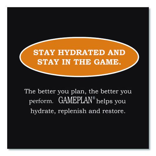 Niagara - Gameplan Sports Drink, Orange, 20 oz Bottle, 24/Carton