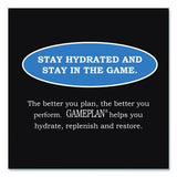 Niagara - Gameplan Sports Drink, Mixed Berry, 20 oz Bottle, 24/Carton