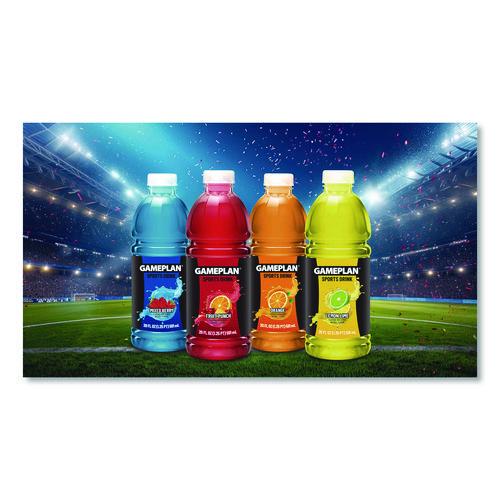 Niagara - Gameplan Sports Drink, Fruit Punch, 20 oz Bottle, 24/Carton